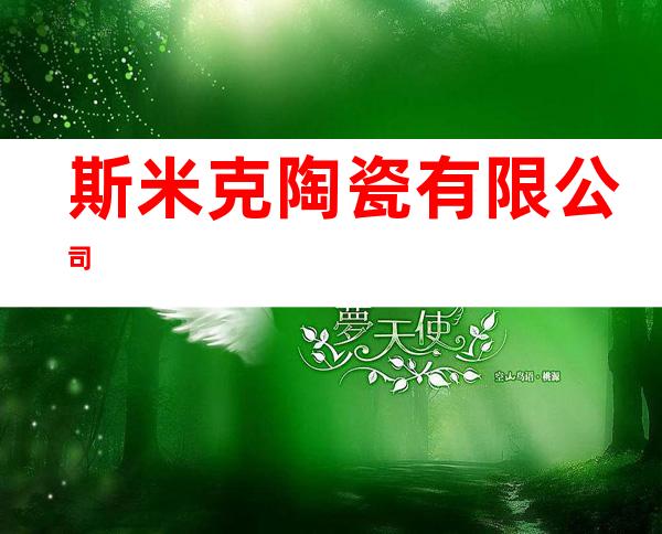 斯米克陶瓷有限公司